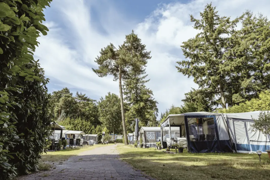 Kamperen Veluwe Zanderij 6